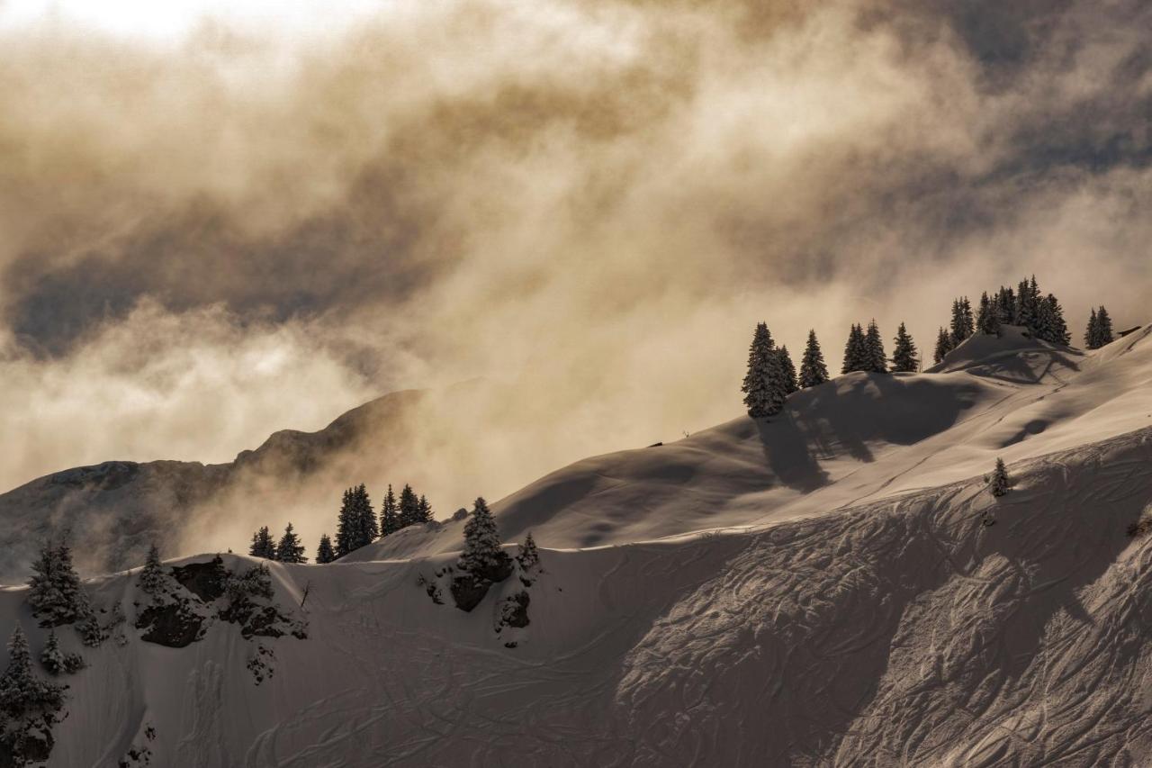 Gori Boutique Apartments - Tirol Reutte Luaran gambar