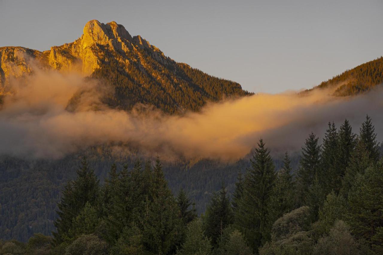 Gori Boutique Apartments - Tirol Reutte Luaran gambar