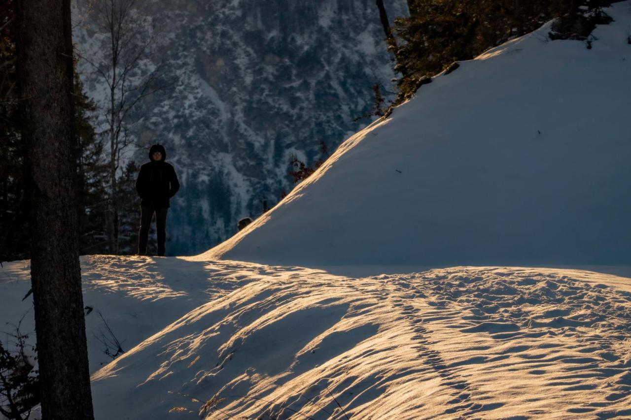 Gori Boutique Apartments - Tirol Reutte Luaran gambar